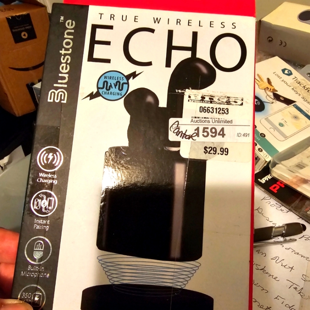 Echo true Wireless earbuds